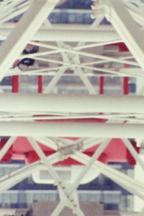 Movie poster for Amusement Ride (2019)