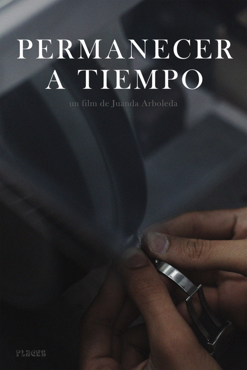 Movie poster for Permanecer a tiempo (2024)