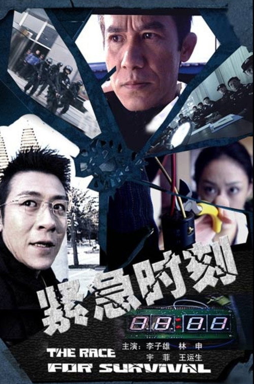 Movie poster for The Face for Survival (2008)