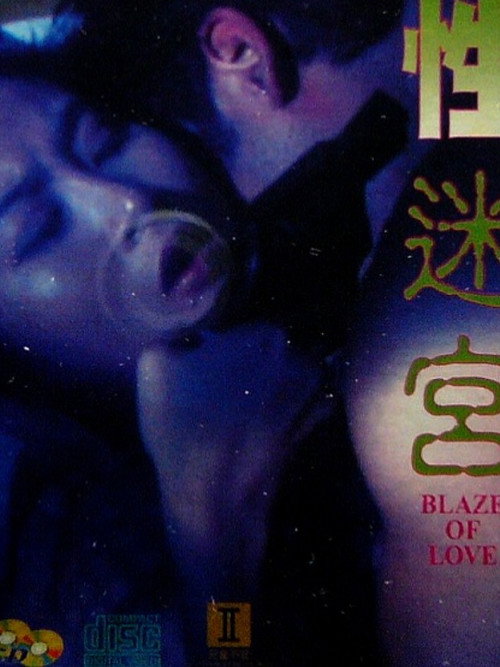 Movie poster for Blaze of Love (1994)