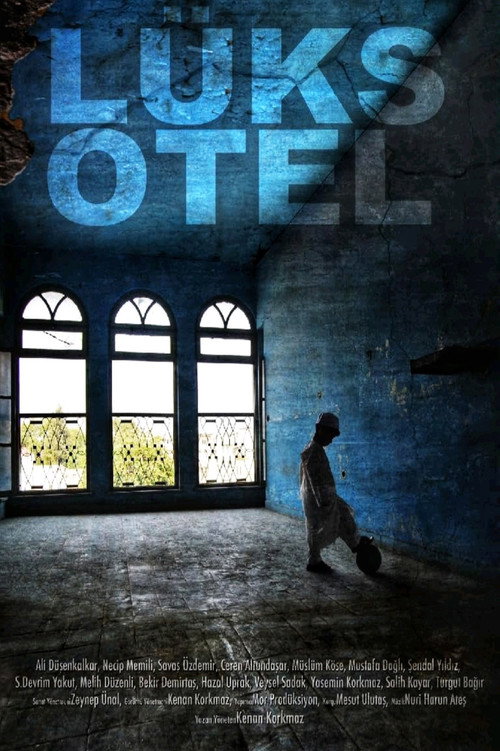 Movie poster for Lüks Otel (2011)