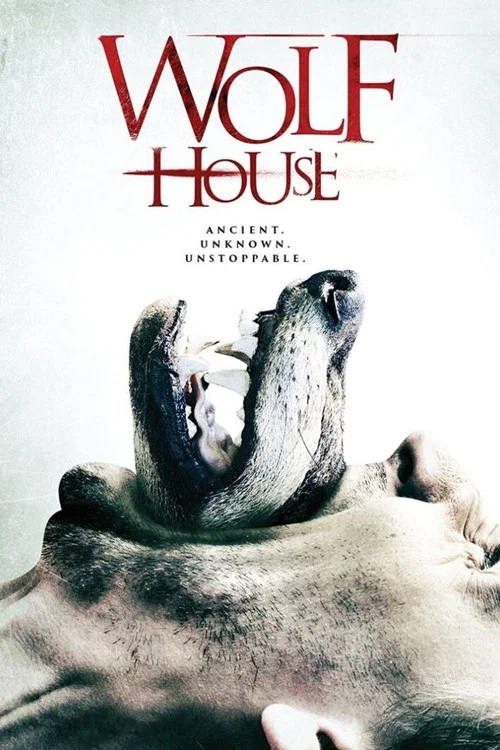 Movie poster for Wolf House (2017)