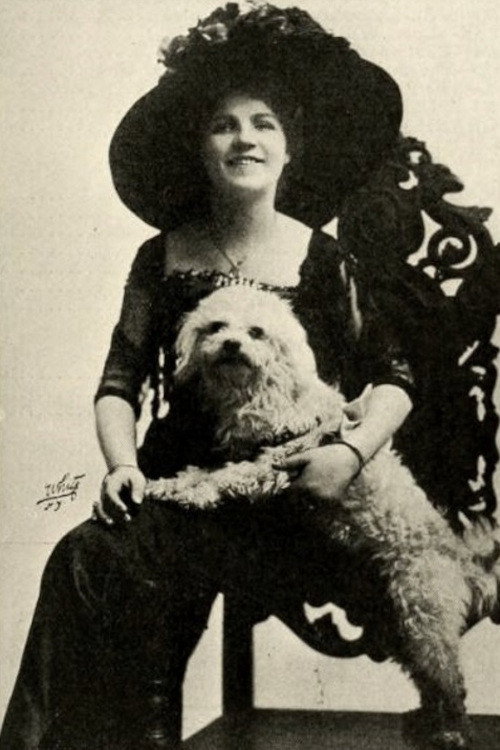 Movie poster for The Rose's Story (1911)