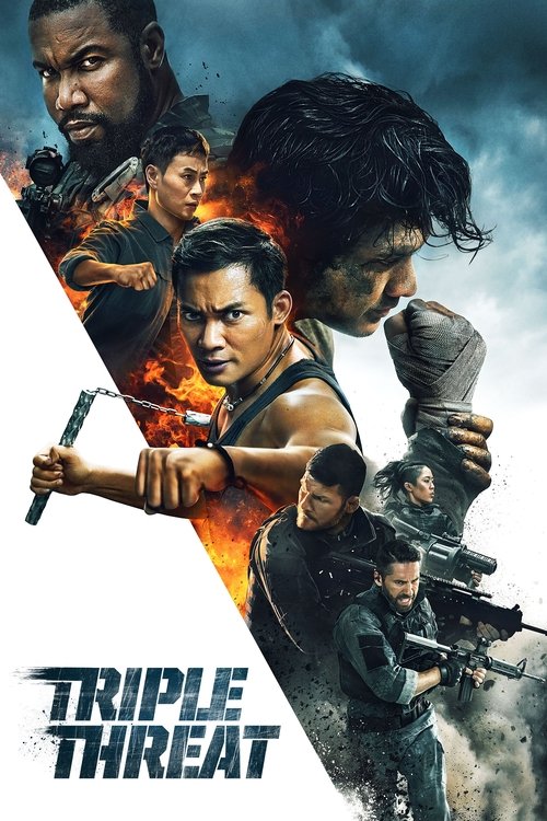 Movie poster for Triple Threat (2019)