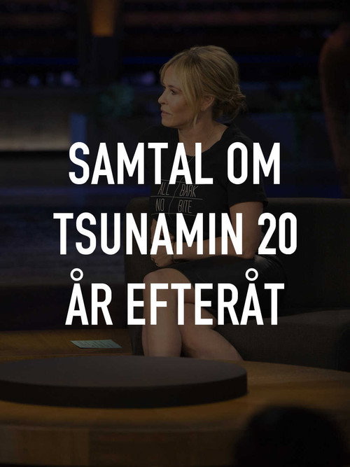 Movie poster for Samtal om tsunamin 20 år efteråt (2024)
