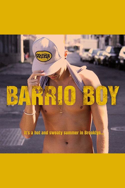 Movie poster for Barrio Boy (2014)