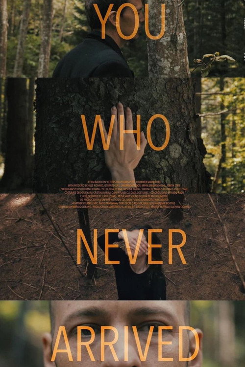 Movie poster for You Who Never Arrived (2021)