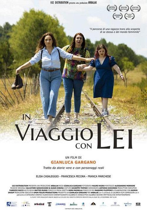Movie poster for In viaggio con Lei (2024)