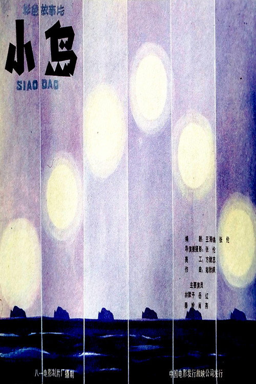 Movie poster for 小岛 (1985)