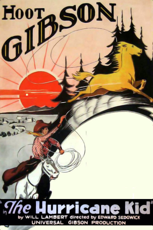 Movie poster for The Hurricane Kid (1925)