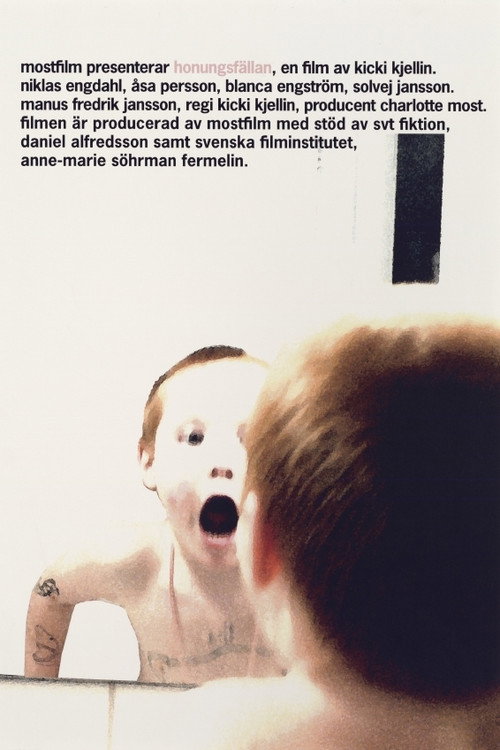 Movie poster for Honey Trap (2008)