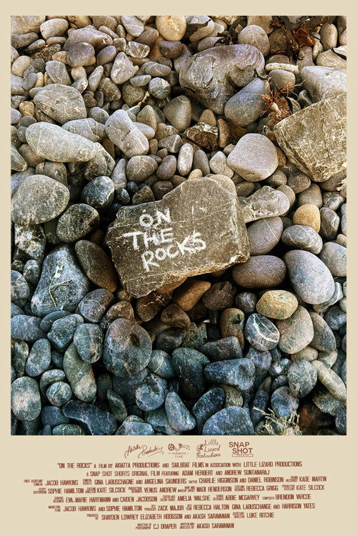 Movie poster for On the Rocks (2023)