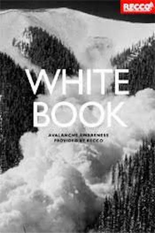 Movie poster for Whitebook (2010)