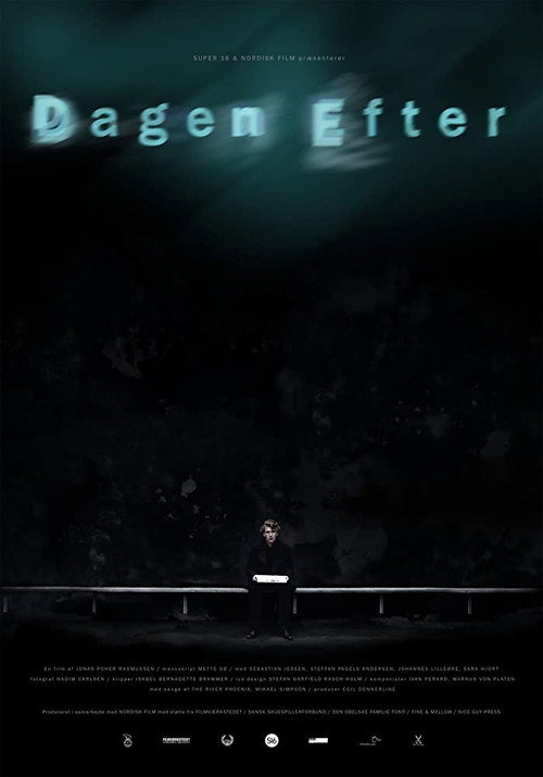 Movie poster for The Day After (2009)