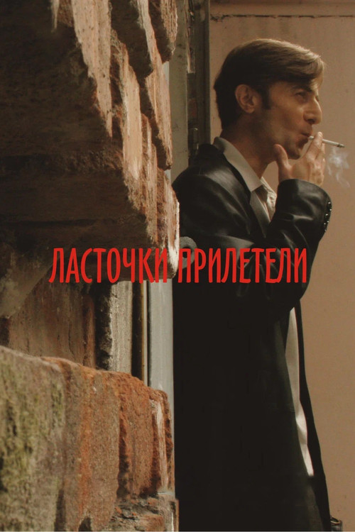 Movie poster for Swallows Have Arrived (2007)