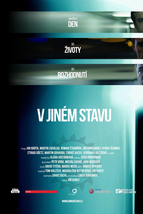 Movie poster for V jiném stavu (2016)