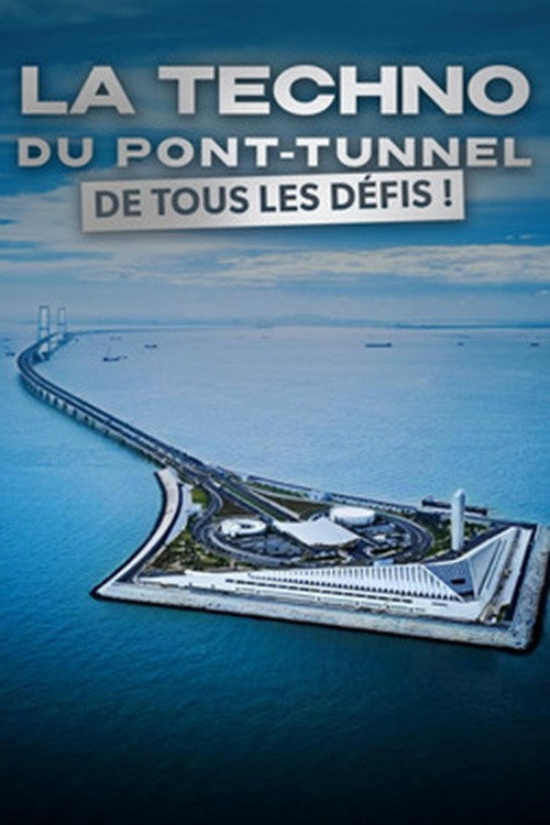 Movie poster for La techno du pont-tunnel de tous les défis (2025)