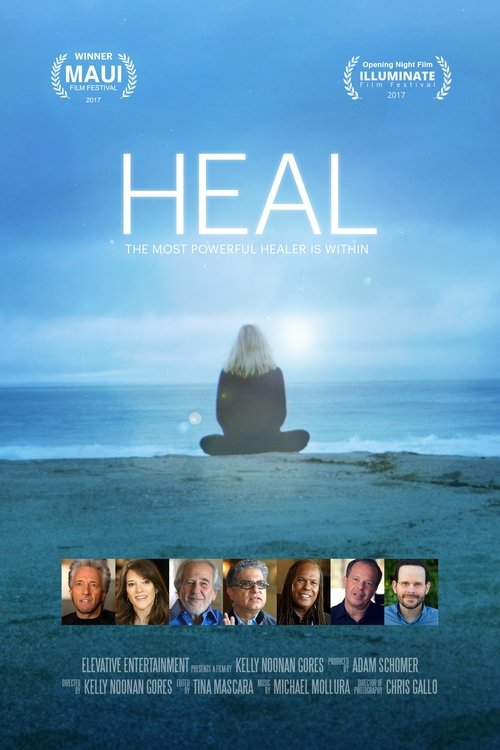 Movie poster for Heal (2017)