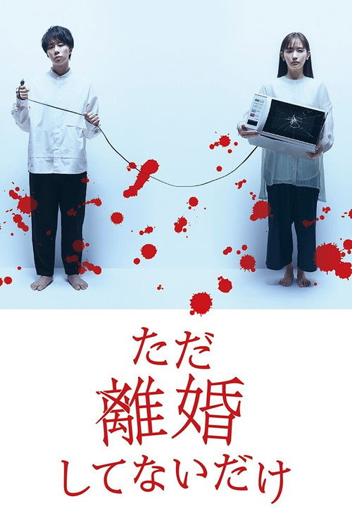 We Are Just Not Divorced poster