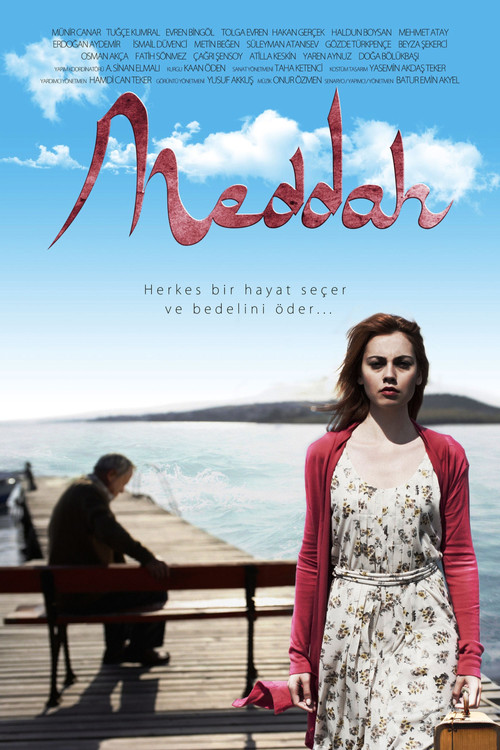Movie poster for Meddah (2014)
