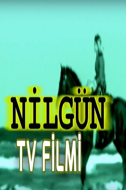 Movie poster for Nilgün (1999)