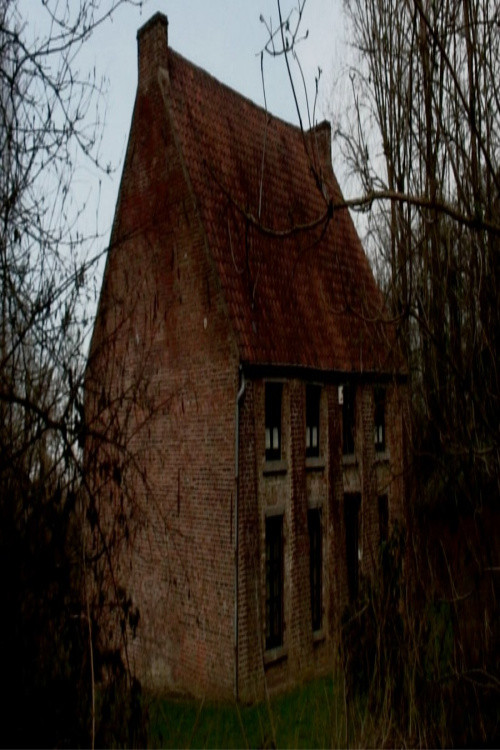 Movie poster for From Vincent's House in the Borinage (2017)