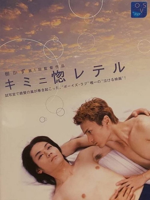 Movie poster for Kimini horeteru (2002)