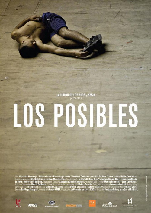 Movie poster for Los posibles (2013)