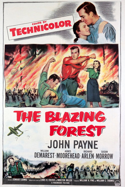 Movie poster for The Blazing Forest (1952)