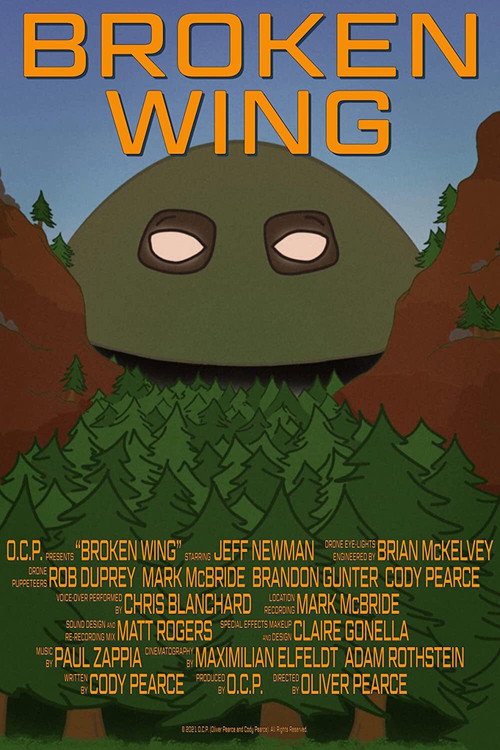 Movie poster for Broken Wing (2021)