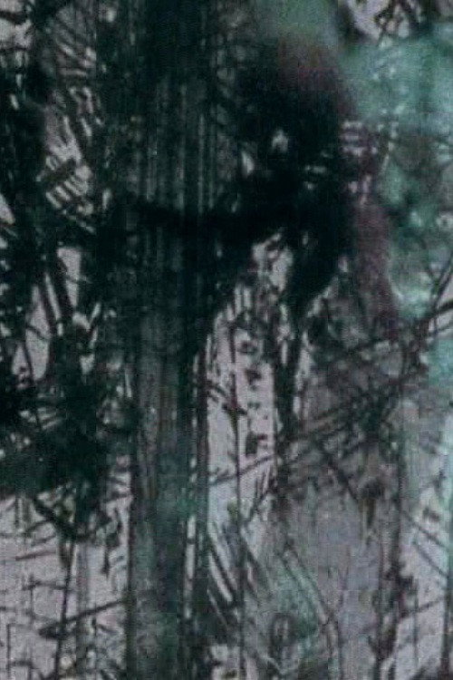 Movie poster for Surfacing (2004)