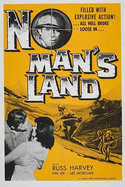 Movie poster for No Man's Land (1964)