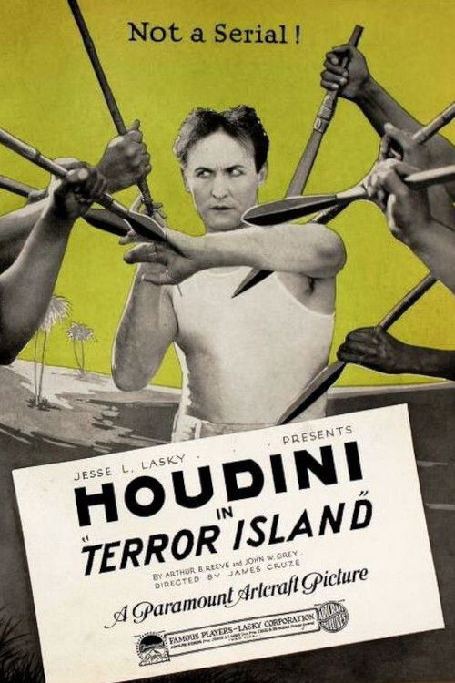 Movie poster for Terror Island (1920)