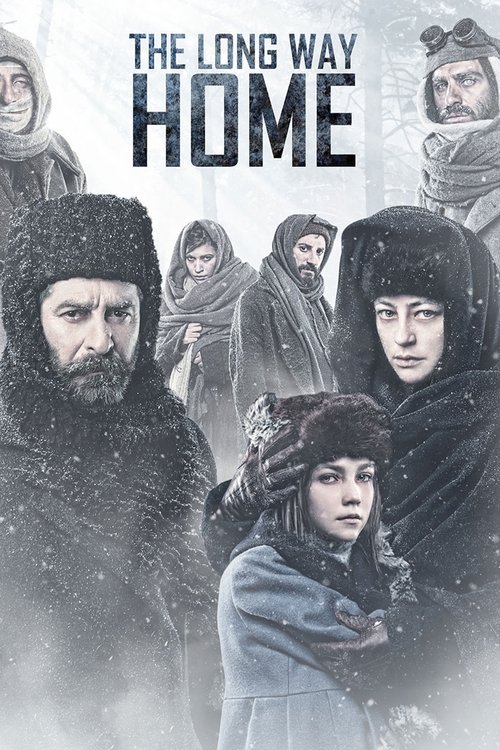 Movie poster for The Long Way Home (2013)