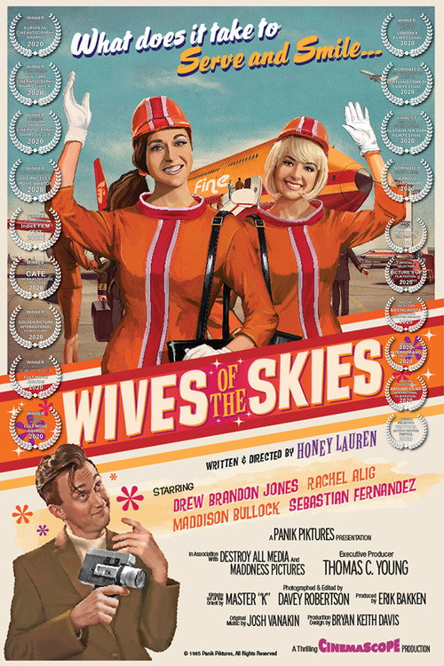 Movie poster for Wives of the Skies (2020)