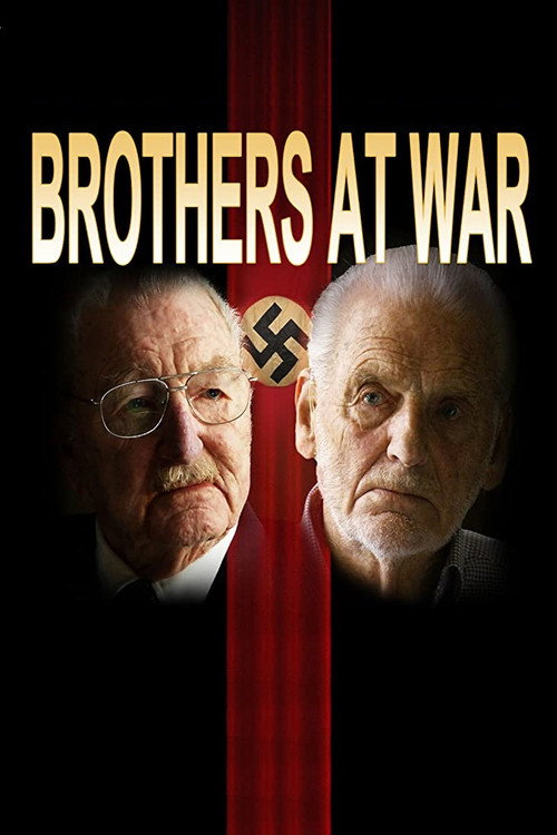 Movie poster for Brothers at War (2010)