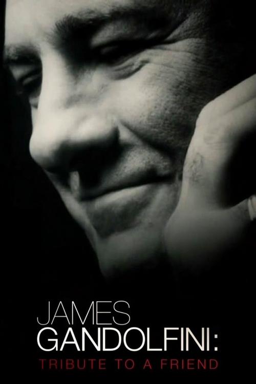 Movie poster for James Gandolfini: Tribute to a Friend (2013)