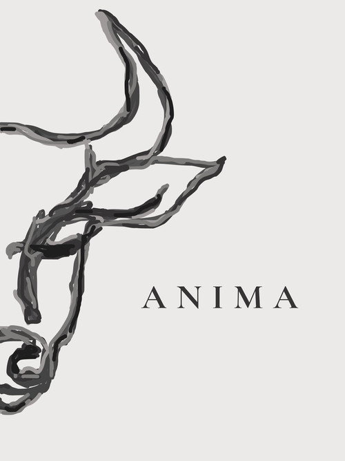 Movie poster for ANIMA (2025)