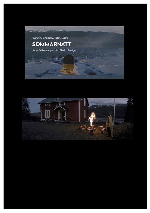 Movie poster for Midsummer Night (2016)