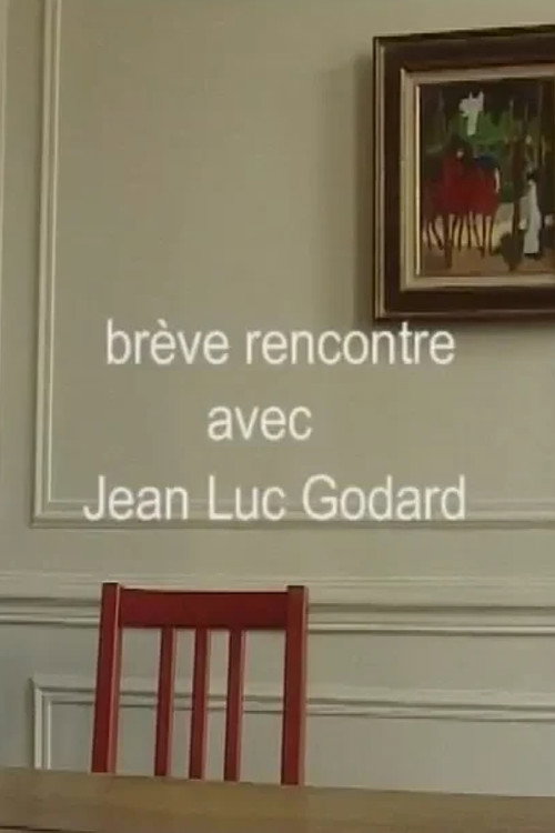 Movie poster for Brève rencontre avec Jean-Luc Godard ou le cinéma comme métaphore (2005)