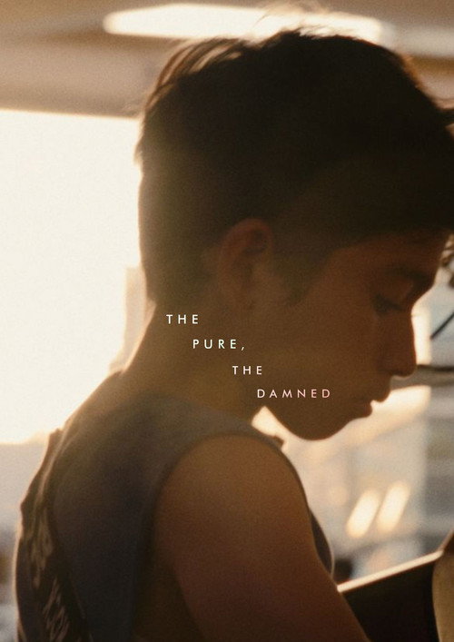 Movie poster for The Pure, The Damned