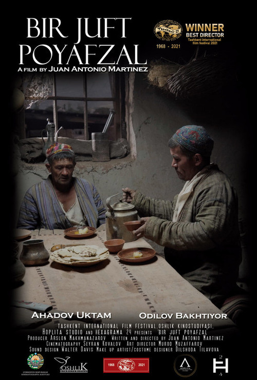 Movie poster for Pair of Shoes (2023)