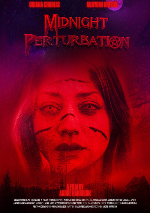 Movie poster for Midnight Perturbation (2025)