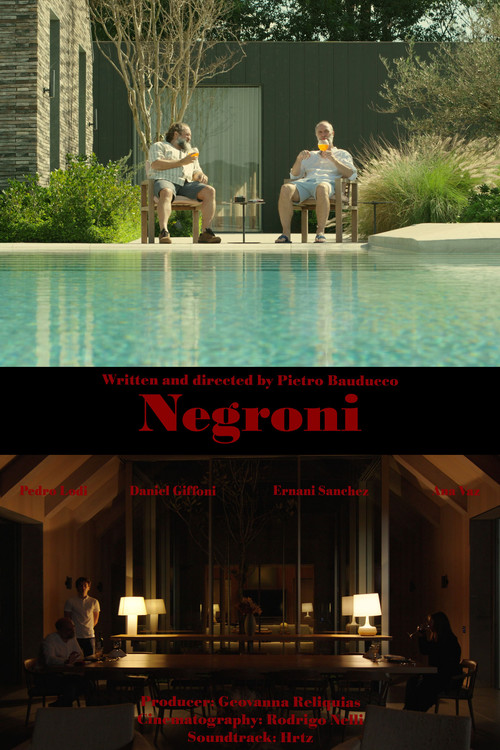 Movie poster for Negroni