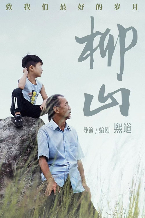 Movie poster for 柳山 (2024)
