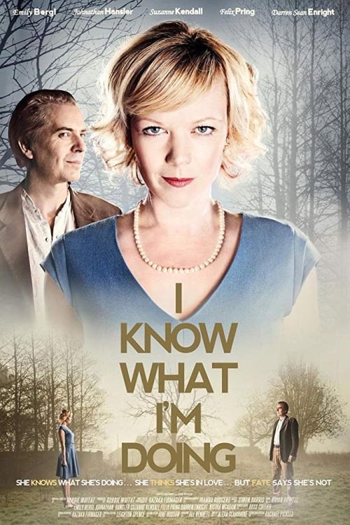 Movie poster for I Know What I'm Doing (2013)