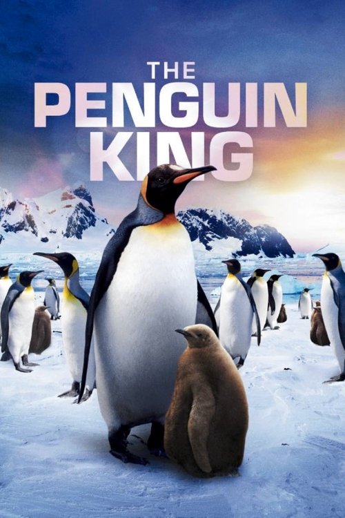 Movie poster for The Penguin King (2012)