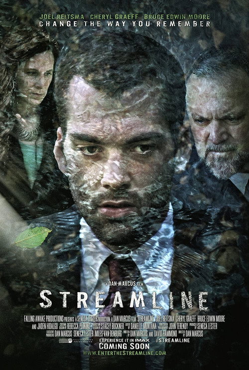 Movie poster for Streamline (2014)