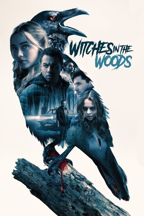 Movie poster for Witches in the Woods (2019)