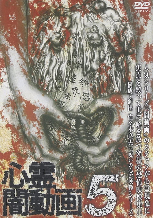 Movie poster for Psychic Darkness Video 5 (2015)